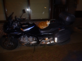 Motorfiets Kat