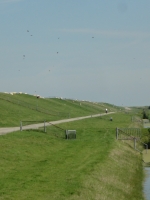 Wadden Sea